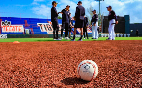 LMB celebrará su 1er torneo de prospectos junto a MLB este 2025. (fb/TigresdeQuintanaRoo)