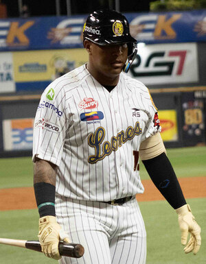 Salvador Pérez podría estar en sus últimos minutos con Leones del Caracas en la LVBP 2025. (Cortesía)