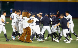 Sultanes amplió a 4-0 su invicto venciendo al Caliente en el inicio de la LMB 2026 (FOTO: Roberto Alanís)